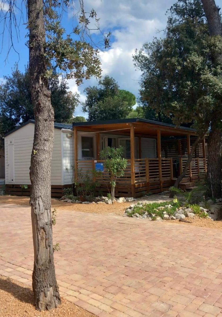Mobile Homes Crystal 4*